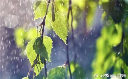 春运期间我省南部和西部边缘地区降水偏多