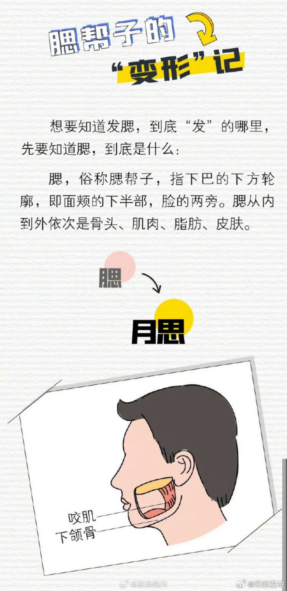脸越来越大可能是发腮了_http://www.mainten.cn_ycb_第5张