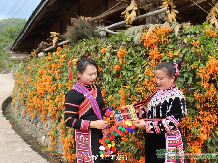 老达保——画一样的村庄