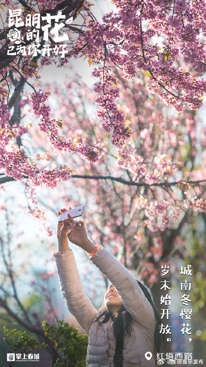 嵩明发布