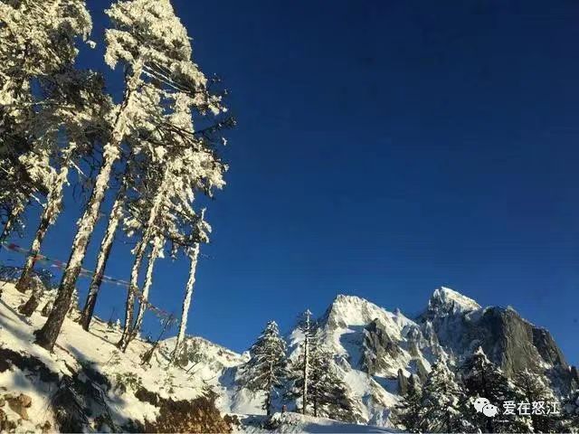 云南省文化和旅游厅