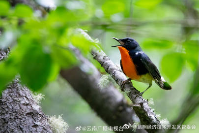 昆明经济技术开发区管委会