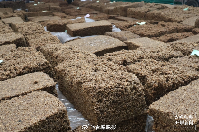 有一种叫云南的生活·一种“象”往的幸福｜勐腊：深耕橡胶产业，致力创新发展_http://www.mainten.cn_ycb_第5张
