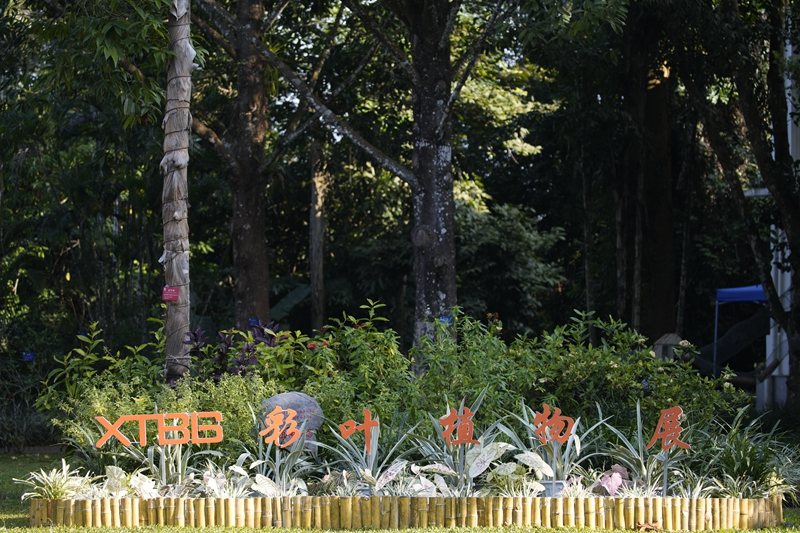 西双版纳傣族自治州人民政府