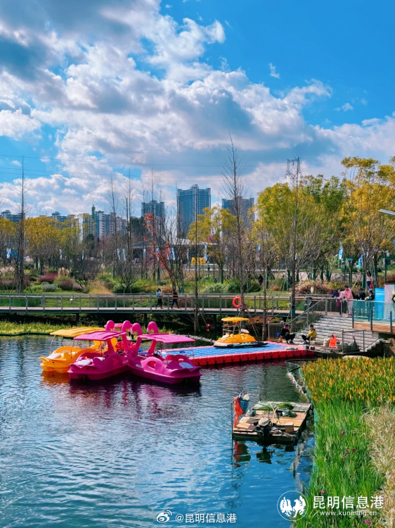 昆明信息港微博