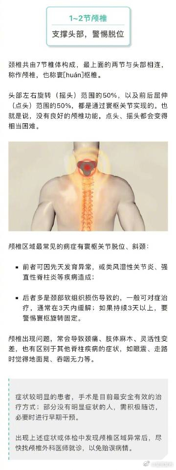 人脊柱各部位有哪些弱点_http://www.mainten.cn_ycb_第3张