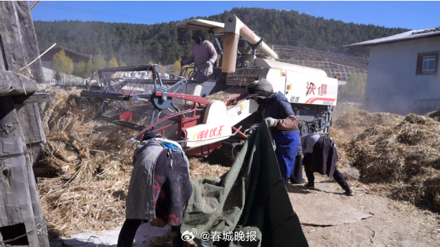 富裕美丽之城 和谐香格里拉 | 脱粒机成为高原农户好帮手_http://www.mainten.cn_ycb_第2张