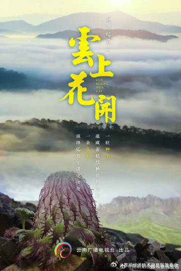 昆明经济技术开发区管委会