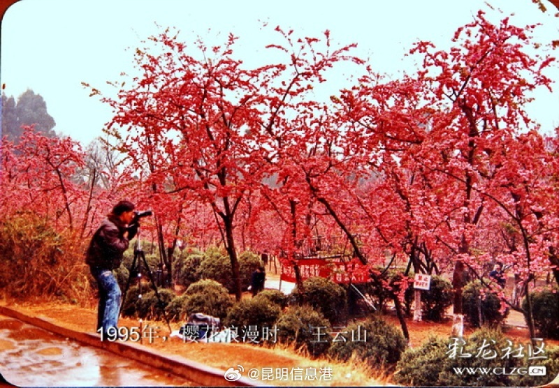 昆明信息港微博