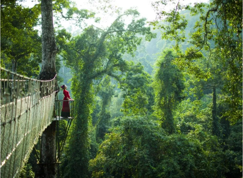 西双版纳傣族自治州人民政府