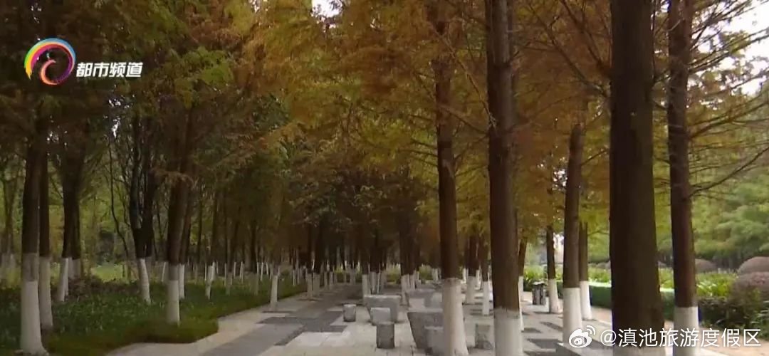 滇池旅游度假区