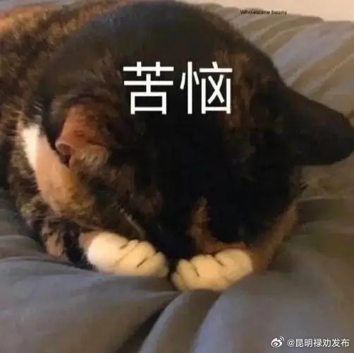 维生素C真的可以增强免疫力吗?