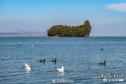 滇池周边生态湿地公园_http://www.mainten.cn_ycb_第4张