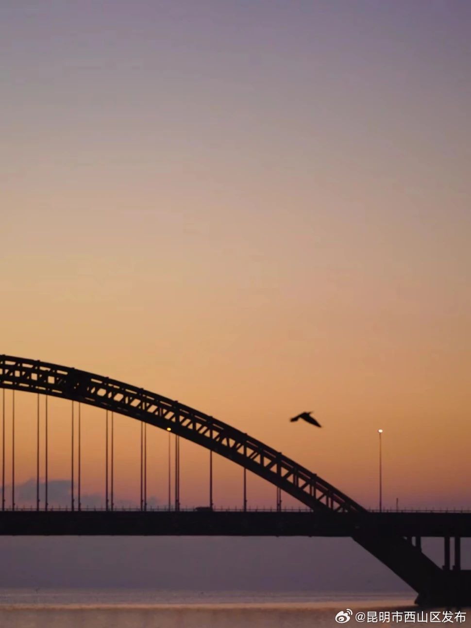 昆明市西山区发布