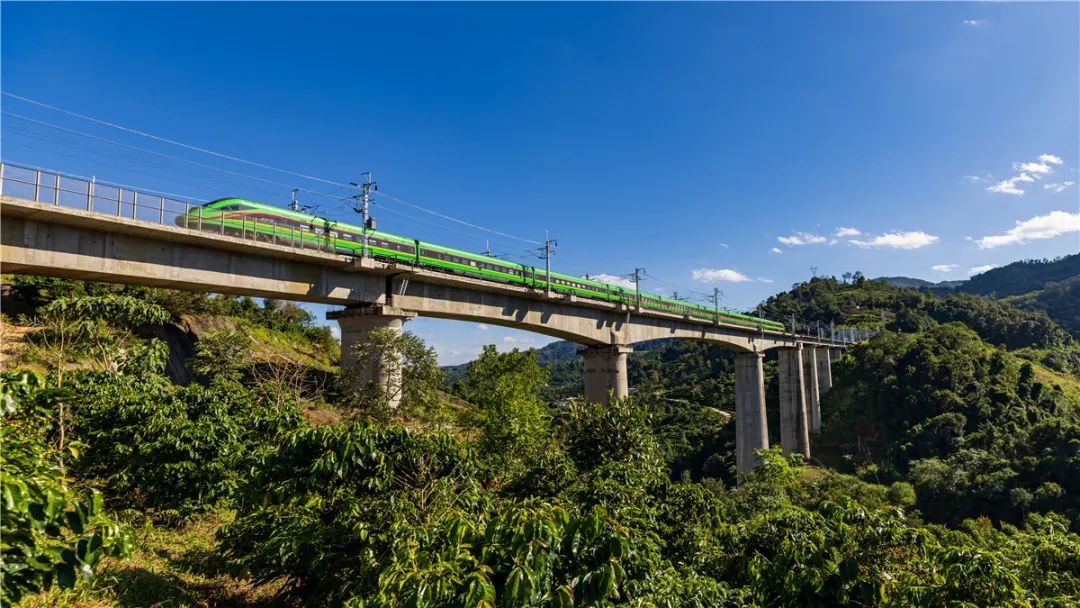 云南省文化和旅游厅