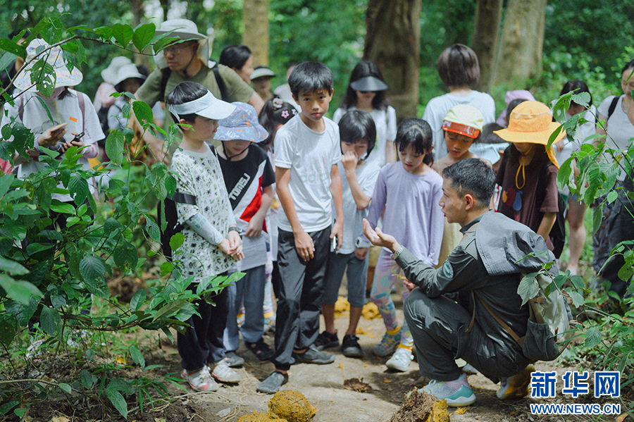 云南省文化和旅游厅