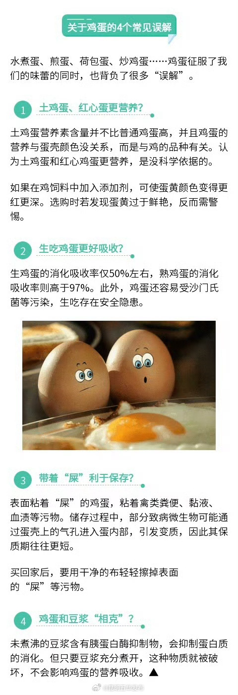 鸡蛋煮着吃营养更好_http://www.mainten.cn_ycb_第3张