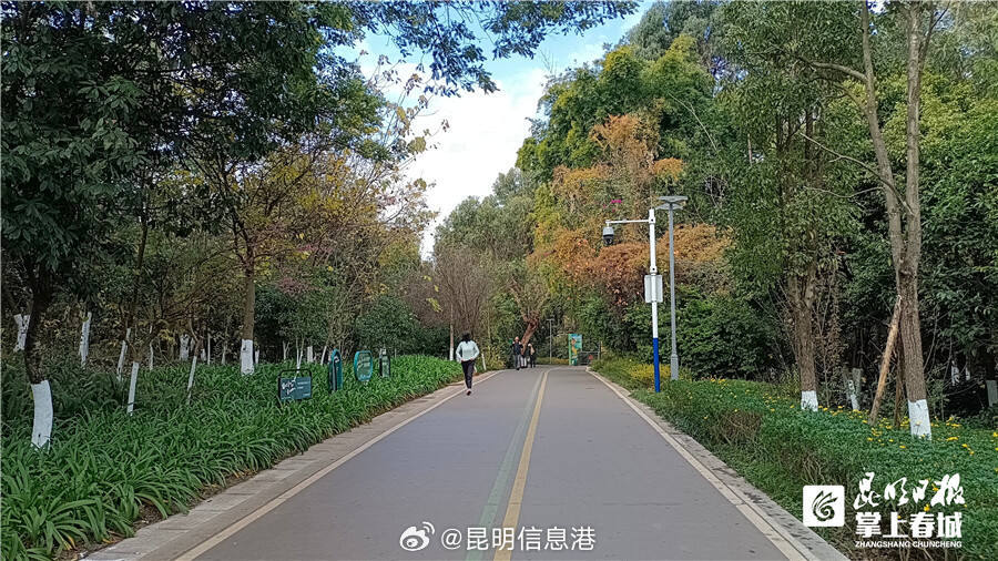 昆明信息港微博