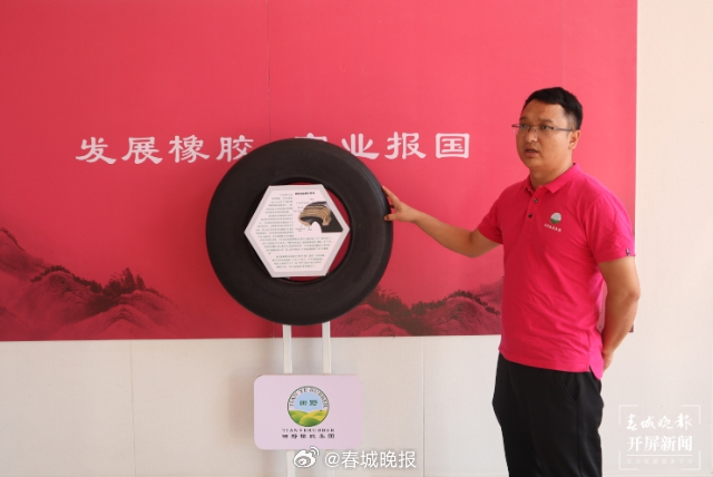 有一种叫云南的生活·一种“象”往的幸福｜勐腊：深耕橡胶产业，致力创新发展_http://www.mainten.cn_ycb_第6张