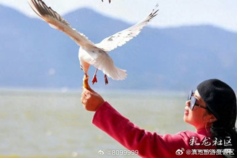 滇池旅游度假区