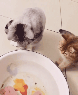 泡脚最好的火候是微微出汗 