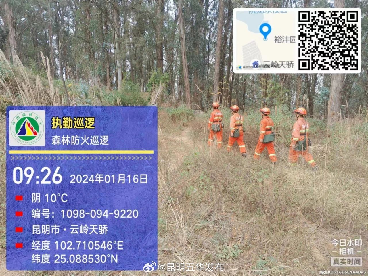 护林防火|红云街道织牢森林防火“安全网”_http://www.mainten.cn_ycb_第1张