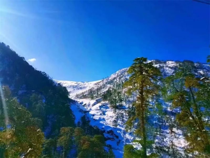 云南省文化和旅游厅