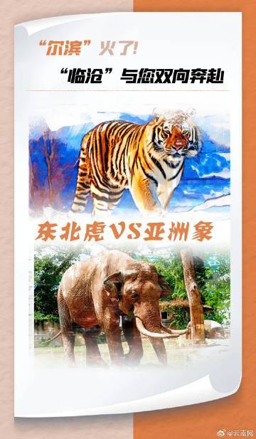 昆明寻甸发布