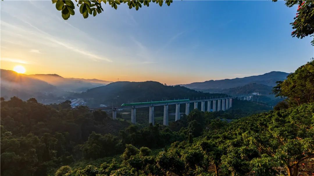 云南省文化和旅游厅