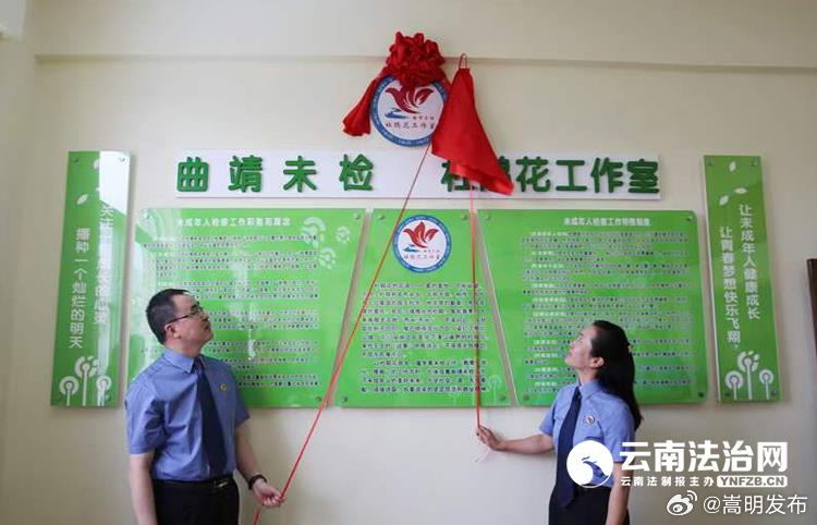 共绘新“枫”景 精彩“桥”云南｜杜鹃花开 “枫”景美