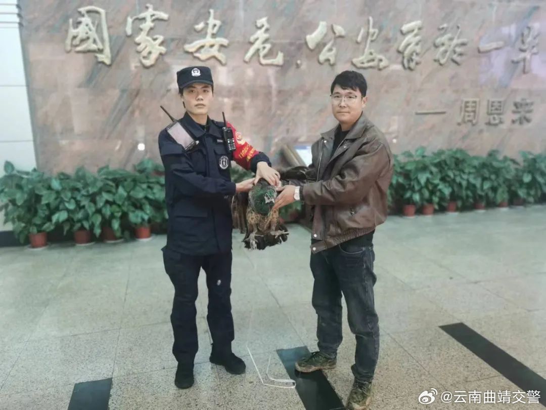 云南曲靖交警