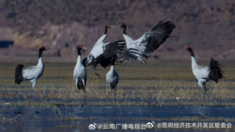 昆明经济技术开发区管委会
