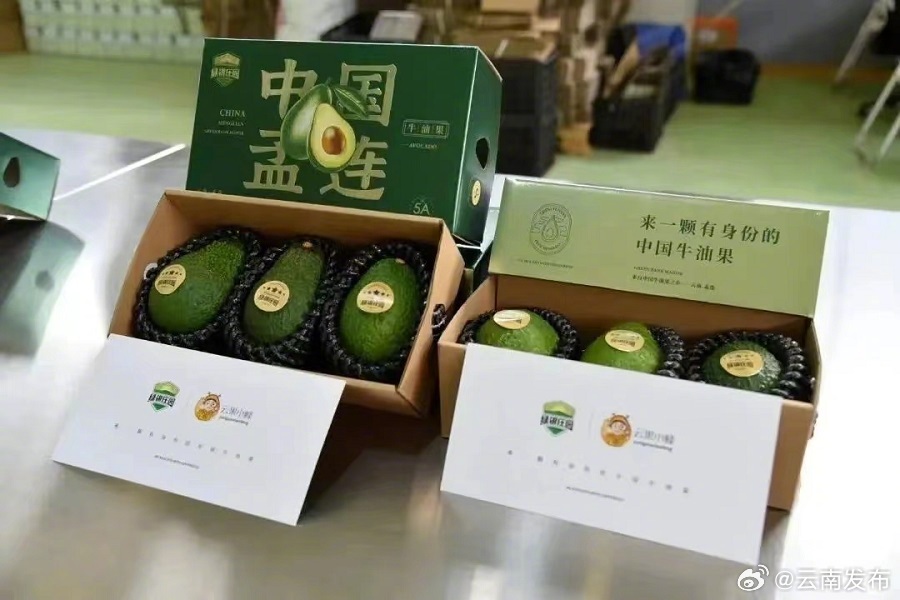 云南发布