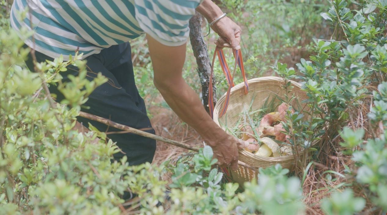 云南省文化和旅游厅