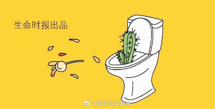 昆明五华发布