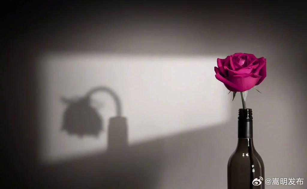 补气血的7个简单方法