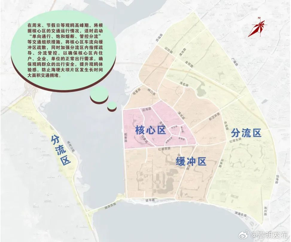 护航昆明观鸥季①丨主打一个“听劝”，昆明“马上办式”宠粉护航观鸥季