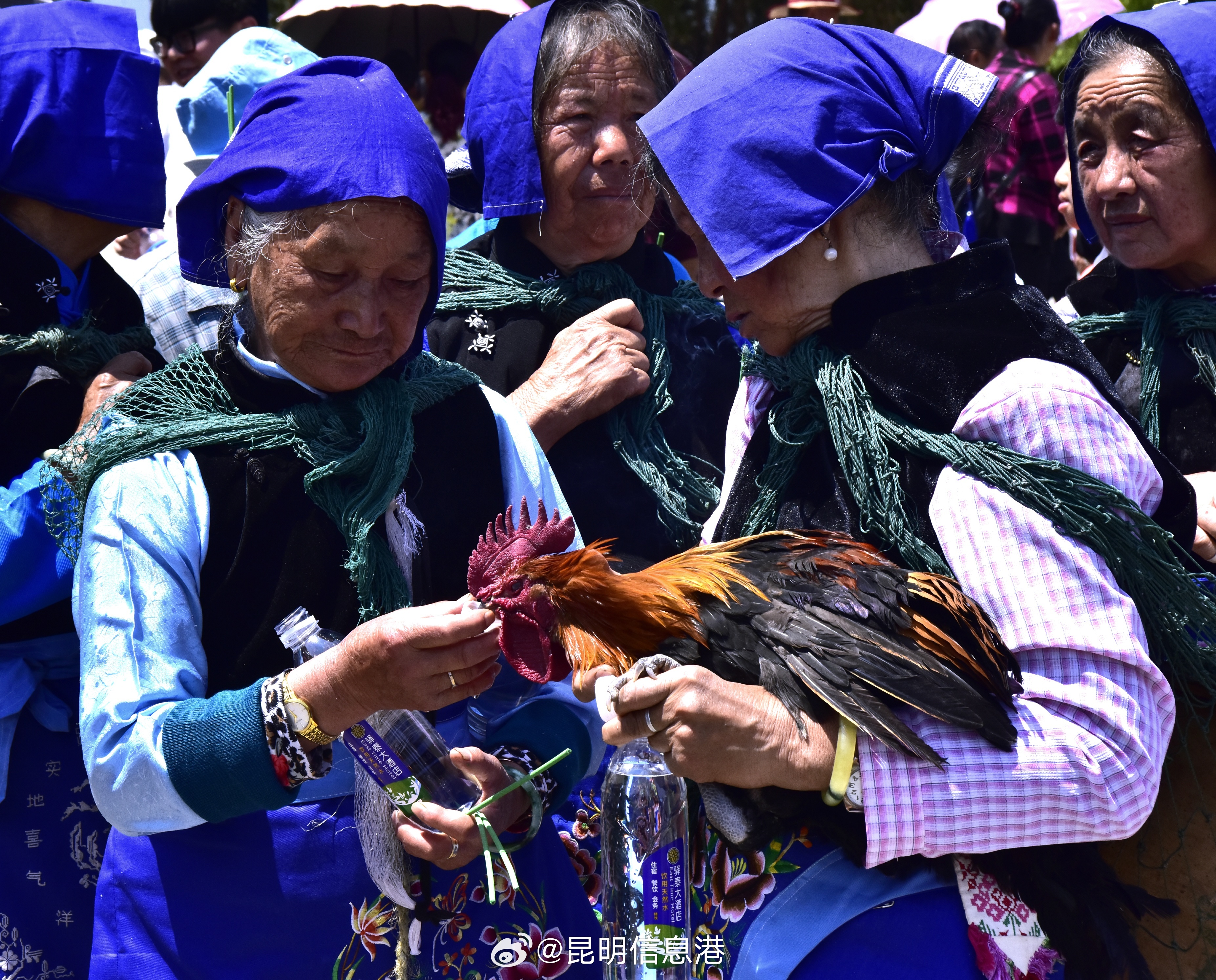 昆明信息港微博