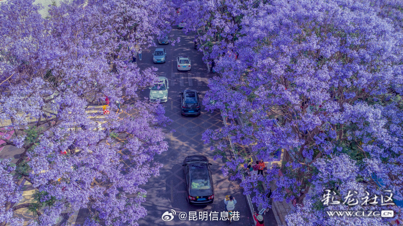 昆明信息港微博