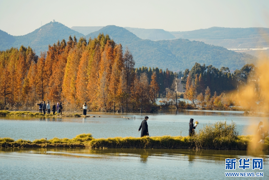 云南省文化和旅游厅