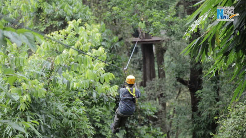 云南省文化和旅游厅