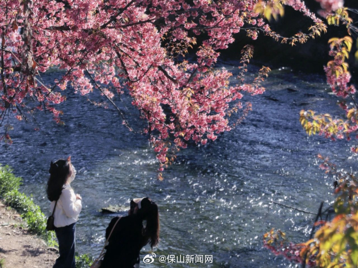 保山新闻网