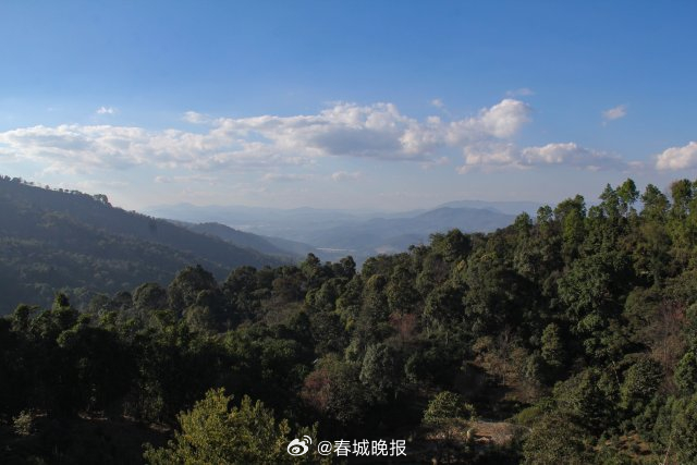 有一种叫云南的生活·一种“象”往的幸福｜南糯山村：丰富茶文旅融合新业态 打造特色乡村旅游目的地