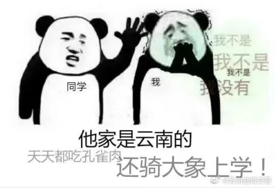 云南曲靖交警