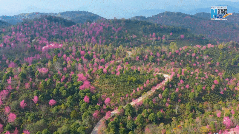 云南省文化和旅游厅