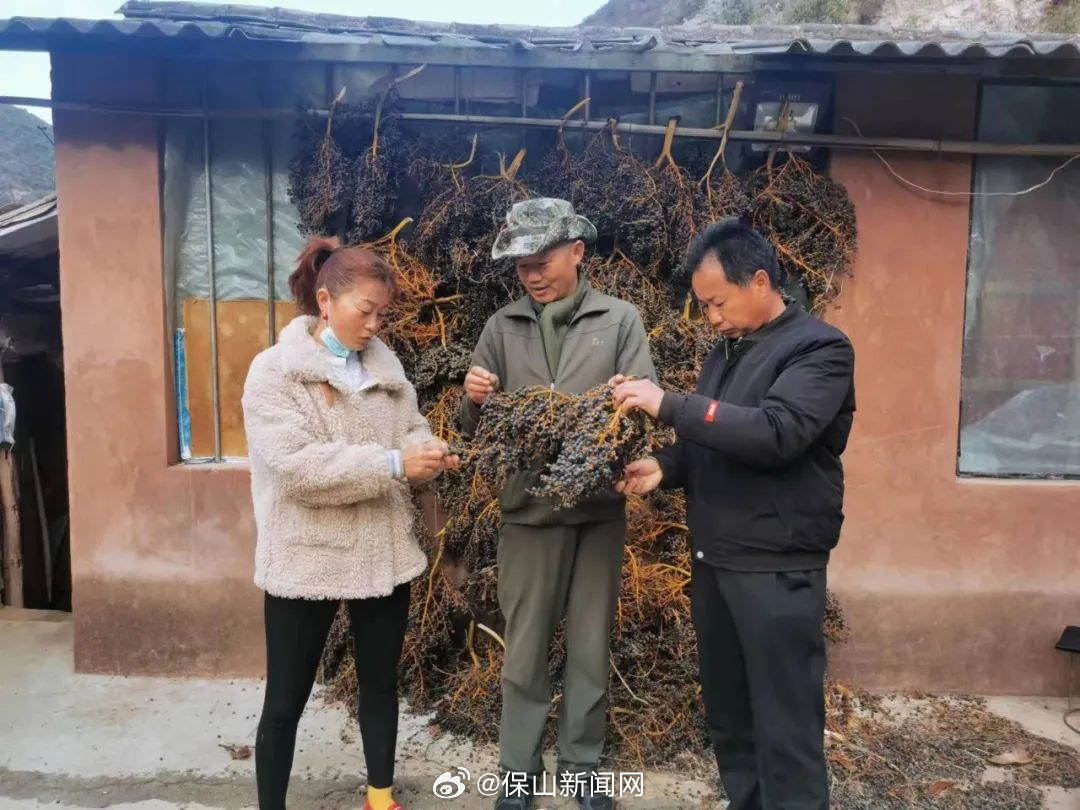 保山新闻网