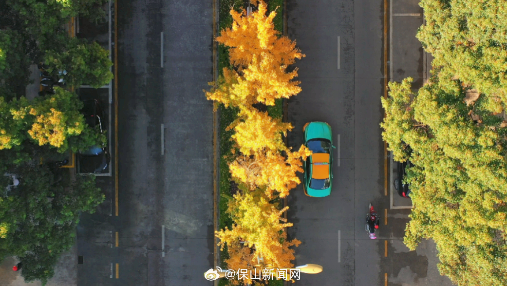 保山新闻网