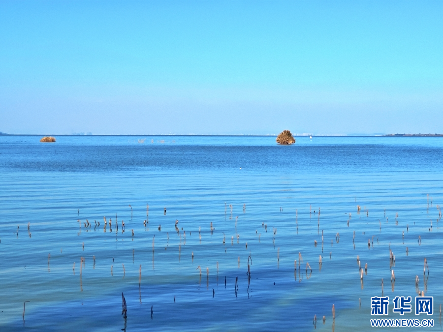 云南省文化和旅游厅