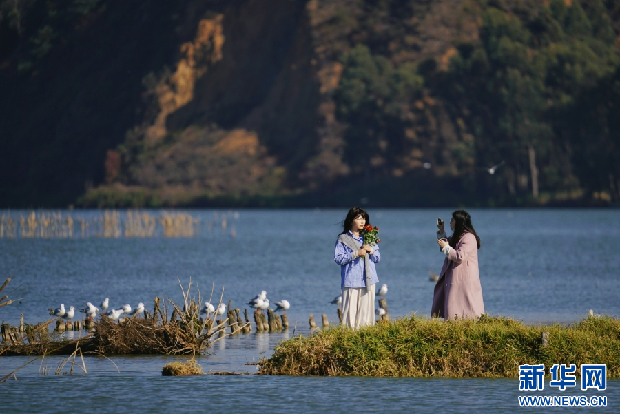 云南省文化和旅游厅