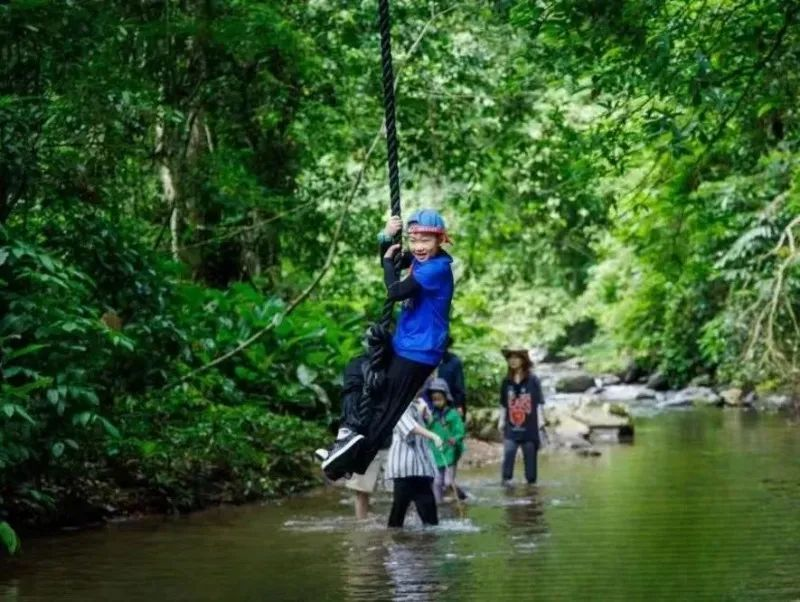 西双版纳傣族自治州人民政府